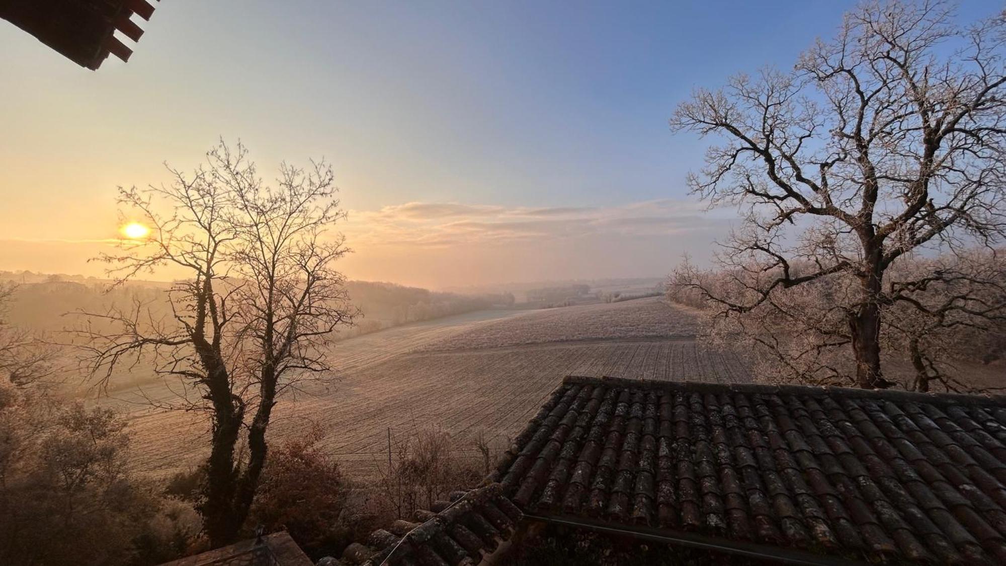 Chambres D'Hotes Dans Un Chateau Au Coeur De La Toscane Occitane Albi-Cordes-Rabastens Senouillac Eksteriør billede